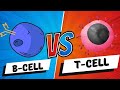 T Cell and B Cell Functions