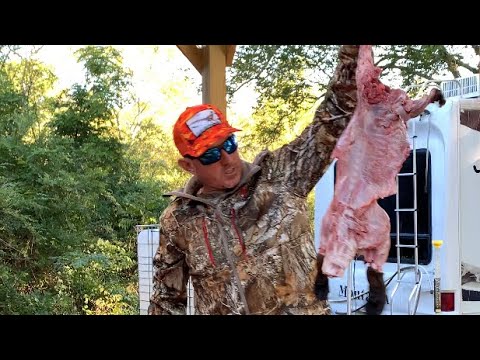 HOW TO CLEAN A BEAVER - Bluegabe