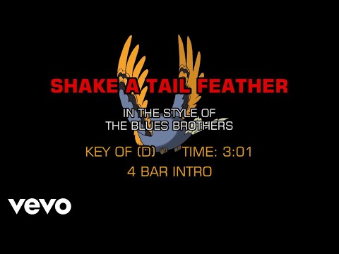 Blues Brothers – Shake A Tail Feather (Karaoke)