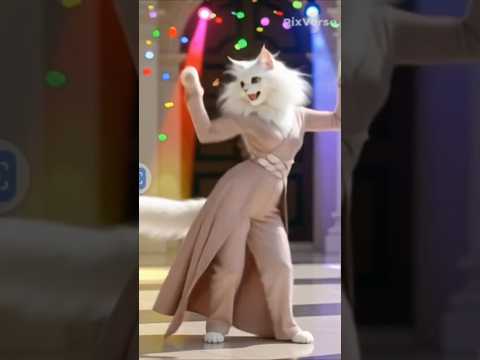 Cat Got Talent 😻🔥 | Billi Ka Dance Show #shorts #trend