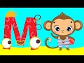 Understanding Monkeys: Behavior and Diet