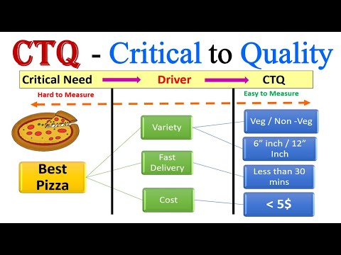What is Critical To Quality in Six Sigma (CTQ) | Critical to Quality (CTQ) | Explained with example