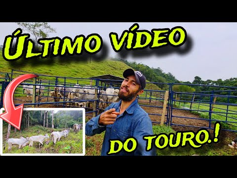 CHEGOU AO FIM O TEMPO DELE NO SÍTIO .!!