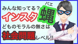 インスタ蝿どものモラルの無さは社会問題レベル!!