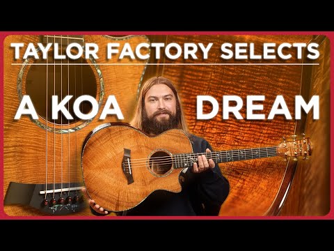 Taylor Made Our Dream Koa Guitar | New Custom Master Grade Koa