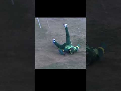 wow catches