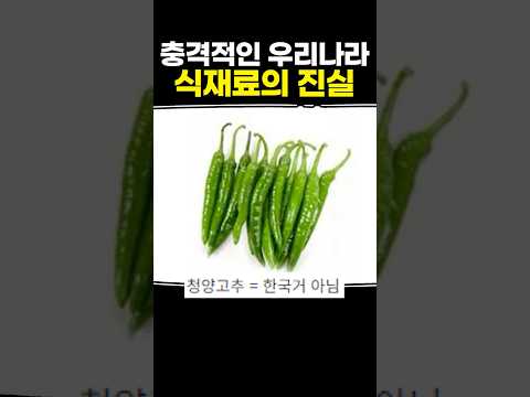 충격적인 우리나라 식재료의 진실