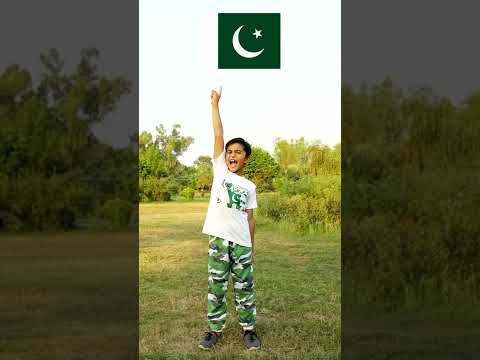 Main Pakistan Hoon Main Zindabad #Shorts #Pakistan #pakistanzindabad #14augustsong2022 #pakarmy