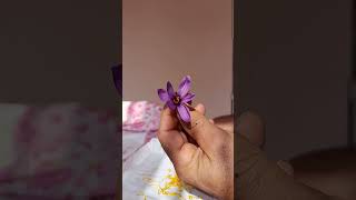 Doğal şifa kaynağı SAFRAN