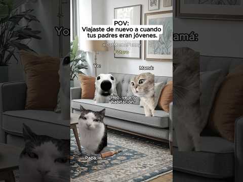 CAT MEME FUNNY 😹 Viajaste de nuevo a cuando tus padres eran jóvenes #relatable #relationship #meme