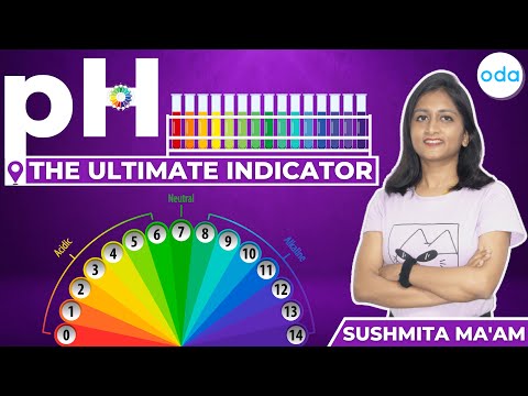 pH in Everyday Life | Acids & Bases | Universal Indicator