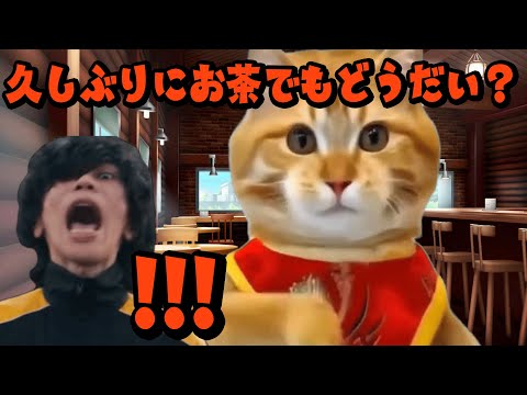 【美大猫ミーム番外編】イギリスの貴公子先輩がお泊まりに来た話 その①#猫ミーム #猫マニ #猫meme