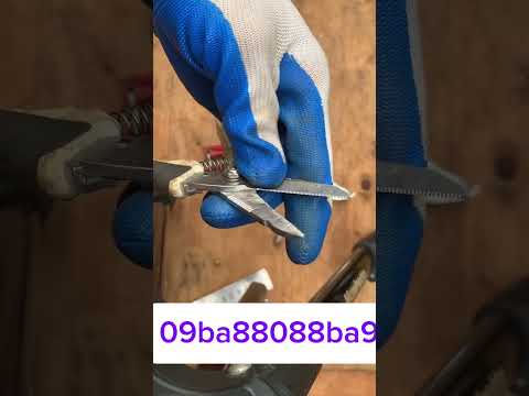 Chia sễ giao lưu cùng cô chú a/c đam mê nghệ tguaajt tạo tác bonsai #bonsai #bonsaiarrt #bonsaitool