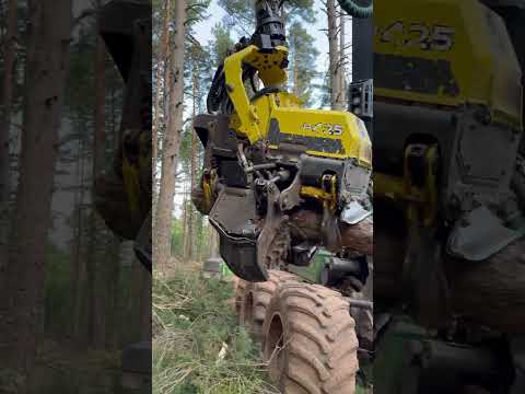 ⚡️ Does This Replace 500 Workers? Watch the 1270G Shred Trees Like a Pro 🤯 #forest #johndeere #tree