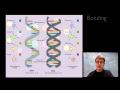 Understanding Nucleic Acids