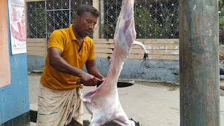 Full Goat Cutting & Processing Video | Professional Butcher’s Clean & Complete Meat Cutting Skills
