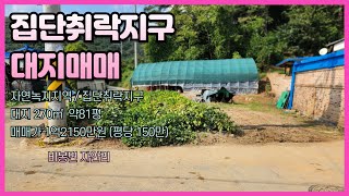 유튜브이미지