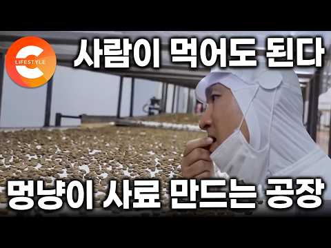“100% 사람이 먹는 재료로 만듭니다” 극한직업 제작진도 난생처음 강아지 사료를 먹어봤다. 멍냥이 사료 생산 과정ㅣ공장 취재ㅣ#극한직업