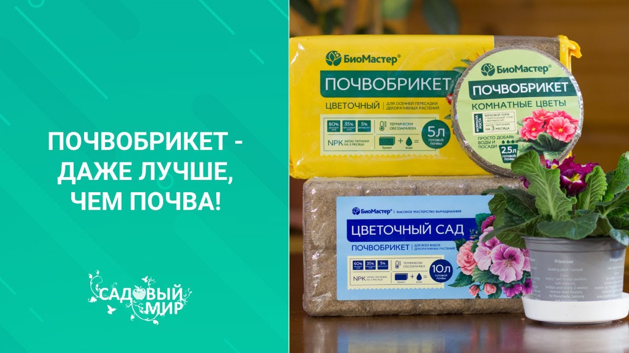 Чудо почва - почвобрикет: просто добавь воды! Как и в какой грунт пересадить домашние цветы зимой