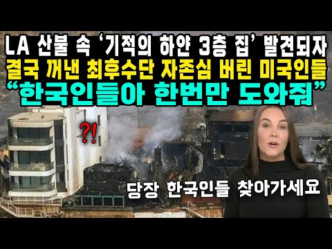 LA 산불 속 '기적의 하얀 3층 집' 발견되자결국 꺼낸 최후수단 자존심 버린 미국인들 "한국인들아 한번만 도와줘"