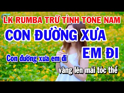 Liên Khúc Rumba Trữ Tình Tone Nam – Con Đường Xưa Em Đi – Tàu Đêm Năm Cũ