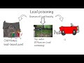 Lead Poisoning and Its Effects