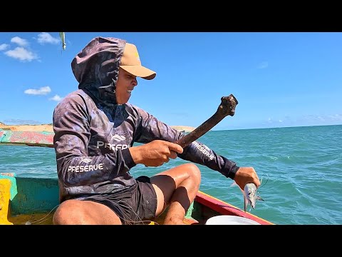 FARTURA DE PEIXE NESSA PESCARIA - PESCA E VENDA DO PEIXE !!