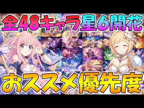 【プリコネR】全48キャラおススメ星６開花優先度解説【星６】