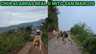 CHUPAC4BRAS REAL O MITO EN SAN MARCOS, GUATEMALA.