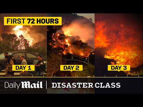 Complete Timeline of the First 72 Hours of LA Wildfires Devastation | Disaster Class | Daily Mail