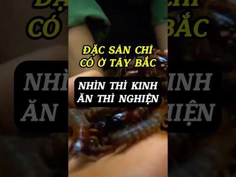 Đặc sản đồng bào người Thái Lai Châu, nhìn thì sợ nhưng ăn thì nghiền #ngoclongtaybac #amthuc