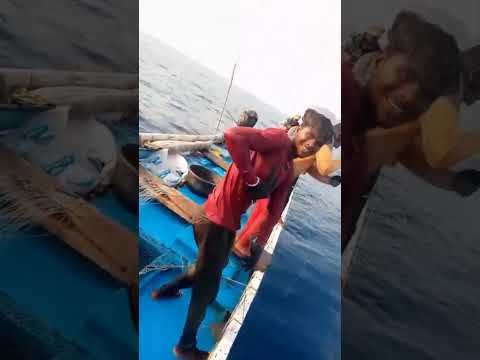 black King fish 🐠 #fishing #seafood #hunting #delivery #localboynaveen