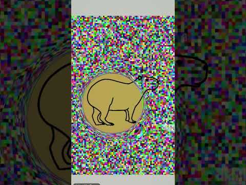 capybara #shorts #memes #viral #fyp