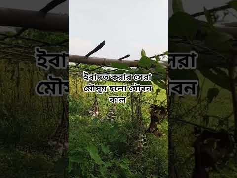 ইবাদত করার সেরা মৌসুম হলো যৌবন কাল#shorts #shortsvideo #islam #foryou