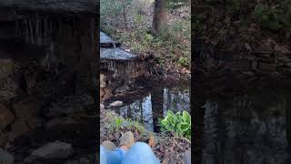 What a Day for a Daydream #streams #relaxation #soothingsounds