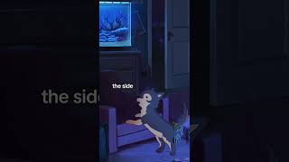 isn't she perfect? 😭  #lofigirl #dog