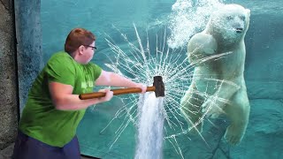 he broke the polar bear's glass...