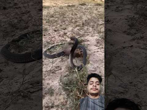 Duniya ki sab se pyari awaaz 🥰 #azan #islamicvideos #islamicstutus #shortfeed #quran #shorts #azma