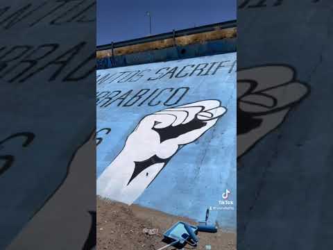 Hicimos un mural gigante para detener los sacrificios de perros y gatos en el centro antirrabico