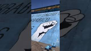 Hicimos un mural gigante para detener los sacrificios de perros y gatos en el centro antirrabico