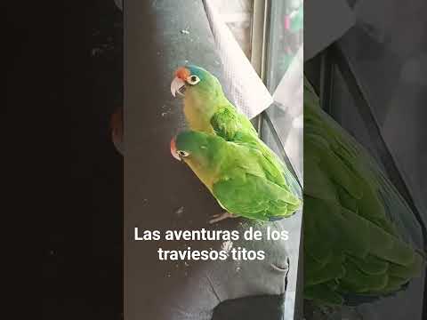 #suscribete_para_mas_videos