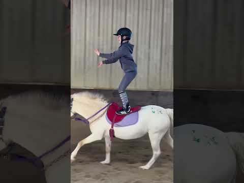 A little fun with the Macarena lol with an Emma twist. Who’s in ? #horse #equestrian #macarenadance
