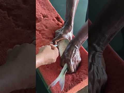 Fishing Master 118