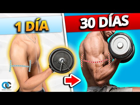 Cuánto tarda en CRECER un MÚSCULO ¡Explicado con Ciencia!