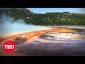 Microbial Roles and Climate Impact
