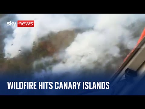 Europe heatwave: Footage shows wildfire spreading across island of La Palma