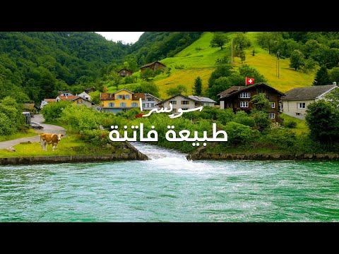 طبيعة ساحرة وإطلالة على البحيرة والجبال في قرية سويسرية جميلة | Sisikon, Switzerland