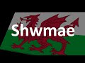 Welsh Language Basics Quiz