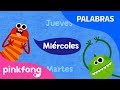 Días de la Semana y Más