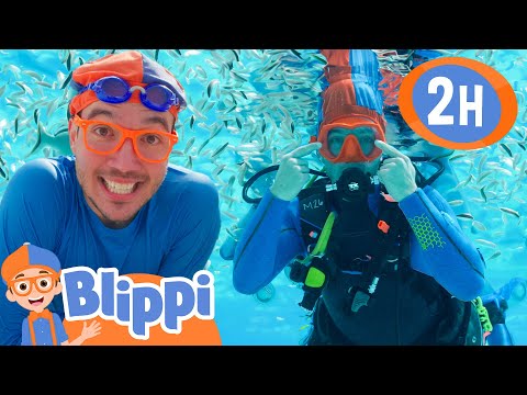 Blippi Goes Diving UNDERWATER! |  Blippi and Meekah Best Friend Adventures | Educational Videos